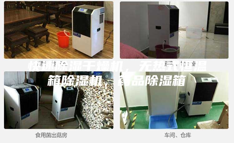 快速除濕干燥機(jī)，無(wú)熱式恒溫箱除濕機(jī)，藥品除濕箱
