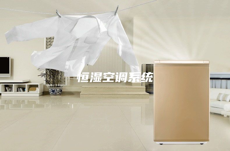 恒濕空調系統(tǒng)