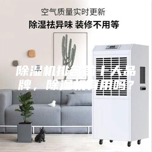 除濕機排名前十大品牌，除濕機有用嗎？