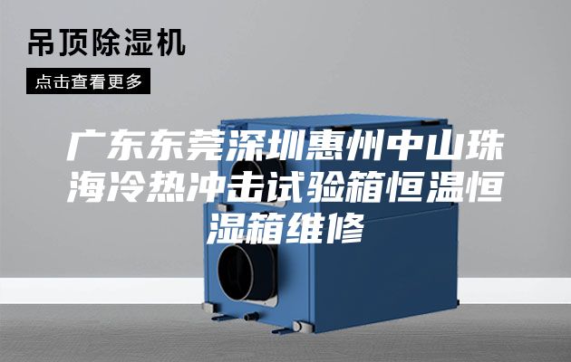 廣東東莞深圳惠州中山珠海冷熱沖擊試驗箱恒溫恒濕箱維修