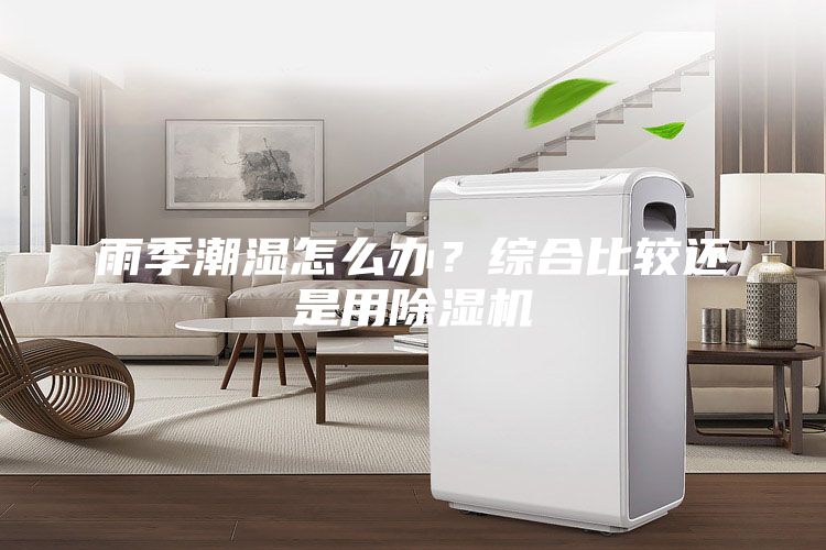 雨季潮濕怎么辦？綜合比較還是用除濕機