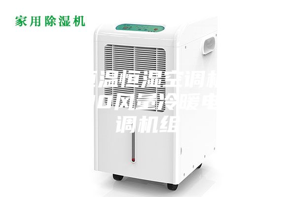 臨沂恒溫恒濕空調(diào)機(jī)組 3000風(fēng)量冷暖電輔空調(diào)機(jī)組