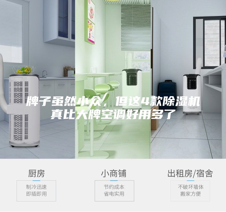 牌子雖然小眾，但這4款除濕機(jī)真比大牌空調(diào)好用多了