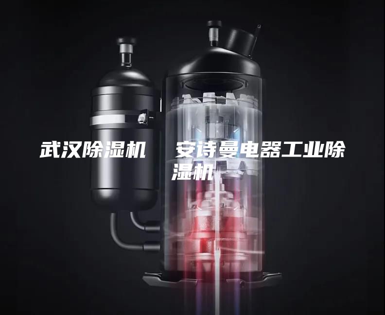 武漢除濕機  安詩曼電器工業(yè)除濕機