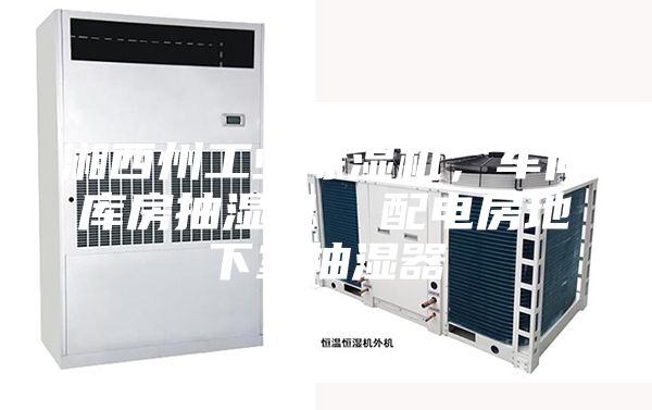 湘西州工業(yè)除濕機(jī)，車間庫房抽濕機(jī)  配電房地下室抽濕器