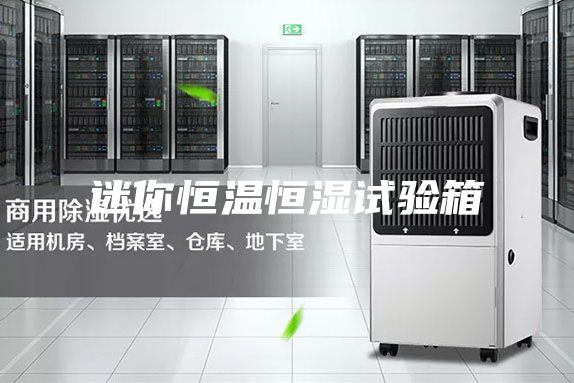 迷你恒溫恒濕試驗(yàn)箱