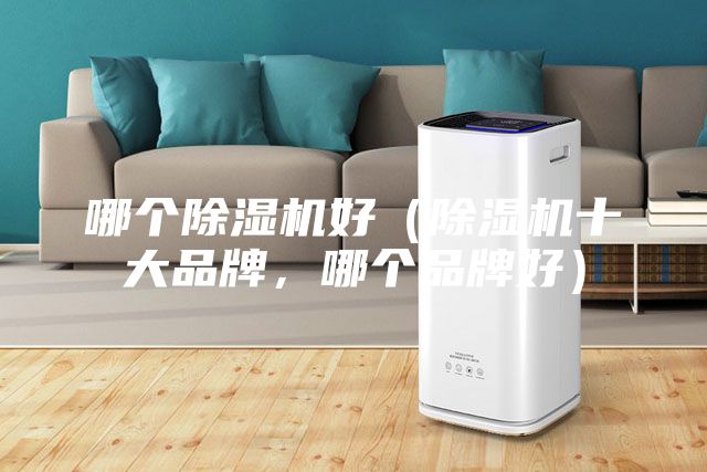 哪個(gè)除濕機(jī)好(除濕機(jī)十大品牌,哪個(gè)品牌好)