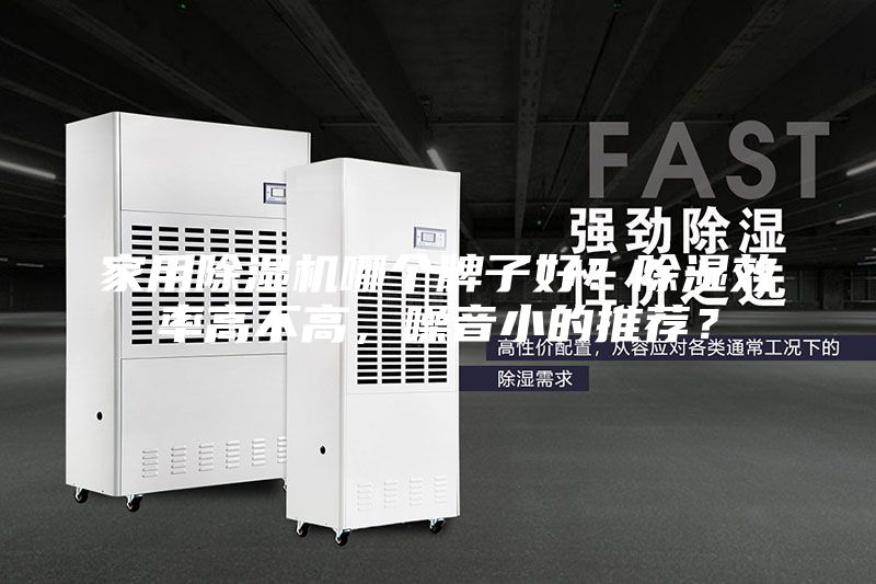家用除濕機哪個牌子好?除濕效率高不高,噪音小的推薦?