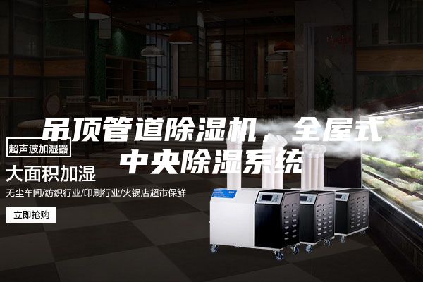 吊頂管道除濕機，全屋式中央除濕系統