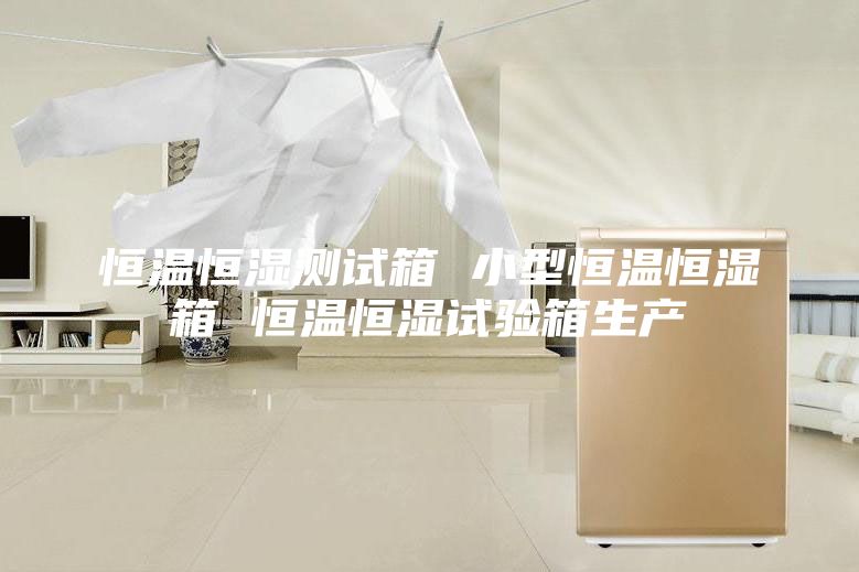 恒溫恒濕測試箱 小型恒溫恒濕箱 恒溫恒濕試驗箱生產(chǎn)