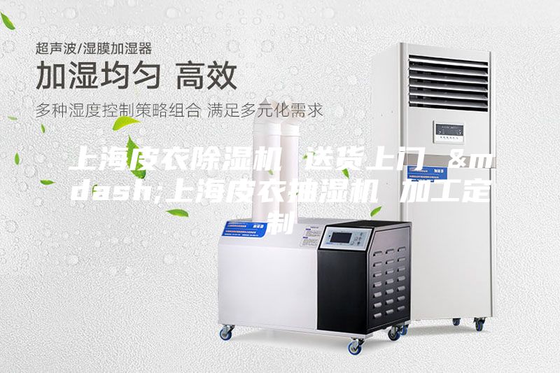 上海皮衣除濕機 送貨上門 &mdash;上海皮衣抽濕機 加工定制