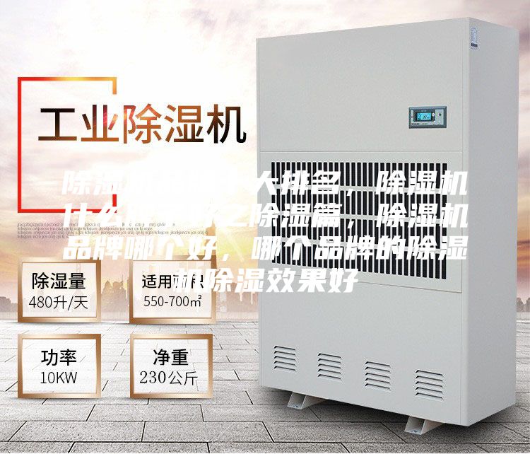 除濕機品牌十大排名，除濕機什么牌子好之除濕篇，除濕機品牌哪個好，哪個品牌的除濕機除濕效果好