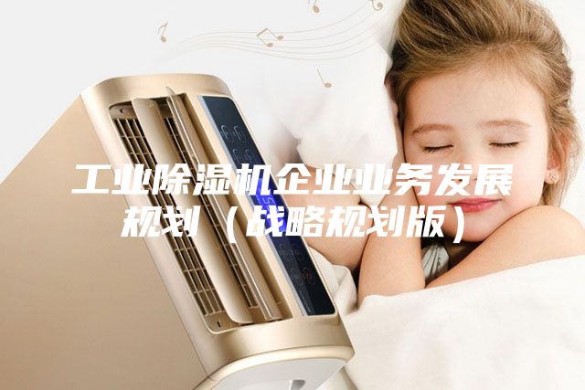工業除濕機企業業務發展規劃（戰略規劃版）