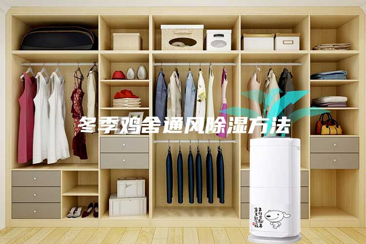 冬季雞舍通風除濕方法