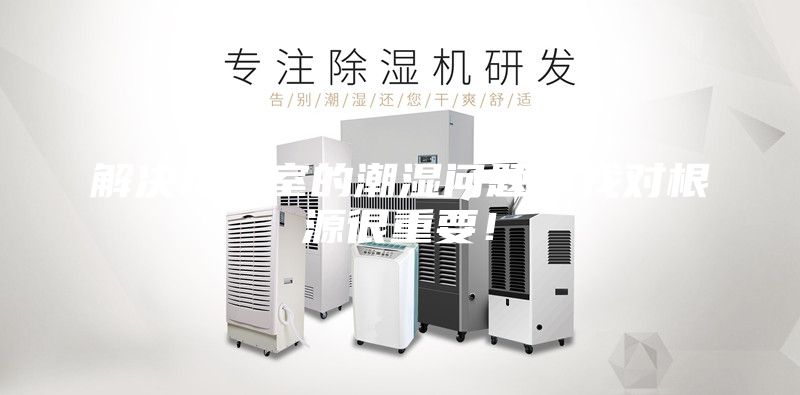 解決地下室的潮濕問題，找對根源很重要！