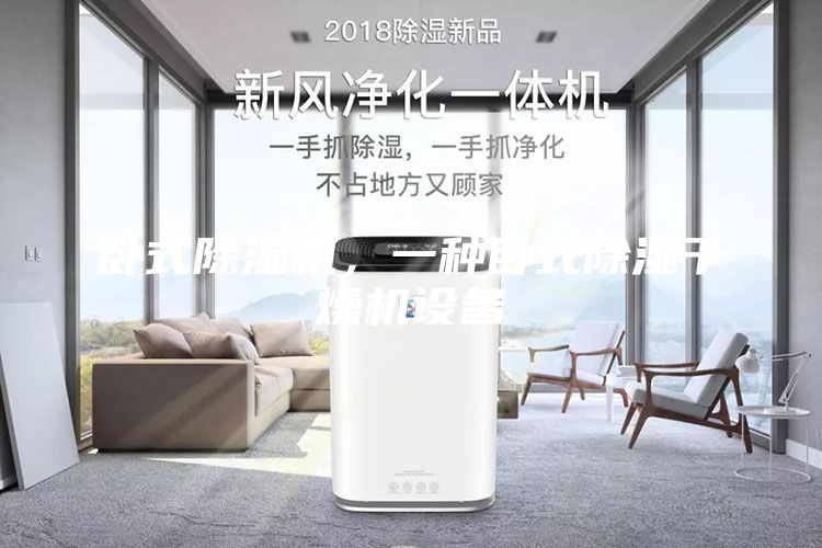 臥式除濕機(jī),一種臥式除濕干燥機(jī)設(shè)備