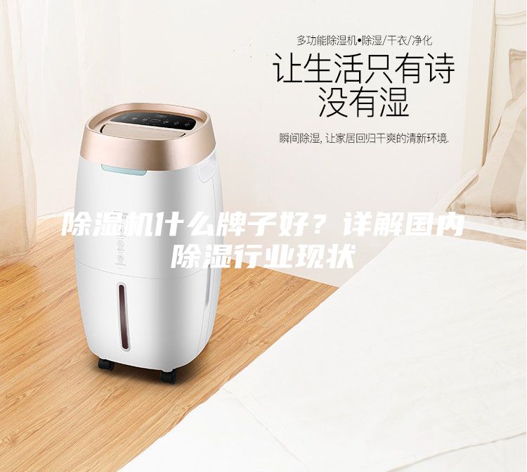 除濕機什么牌子好?詳解國內除濕行業現狀