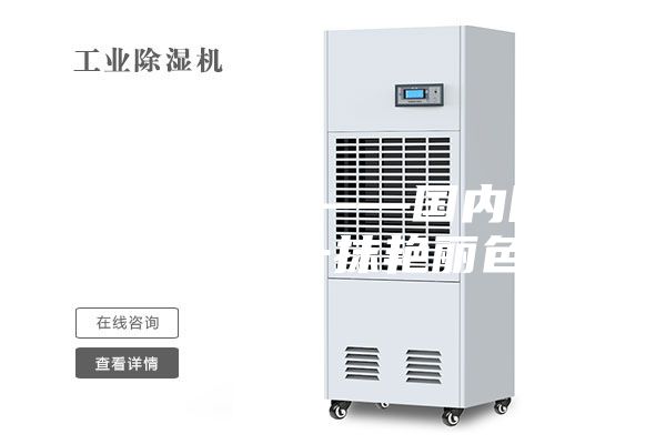 杭州除濕機(jī)——國(guó)內(nèi)除濕機(jī)行業(yè)的一抹艷麗色彩