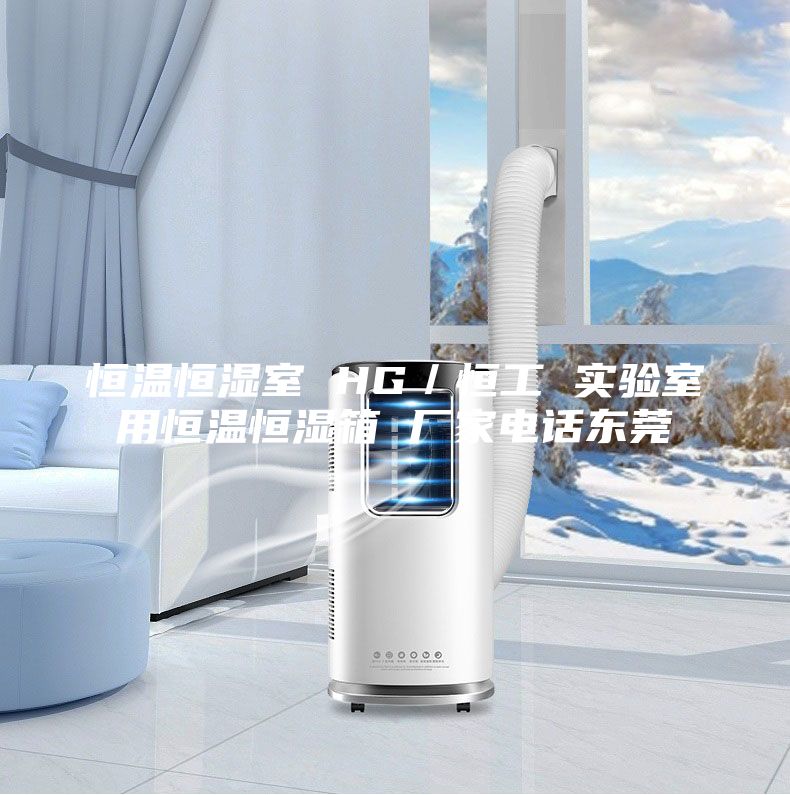 恒溫恒濕室 HG／恒工 實(shí)驗(yàn)室用恒溫恒濕箱 廠家電話東莞