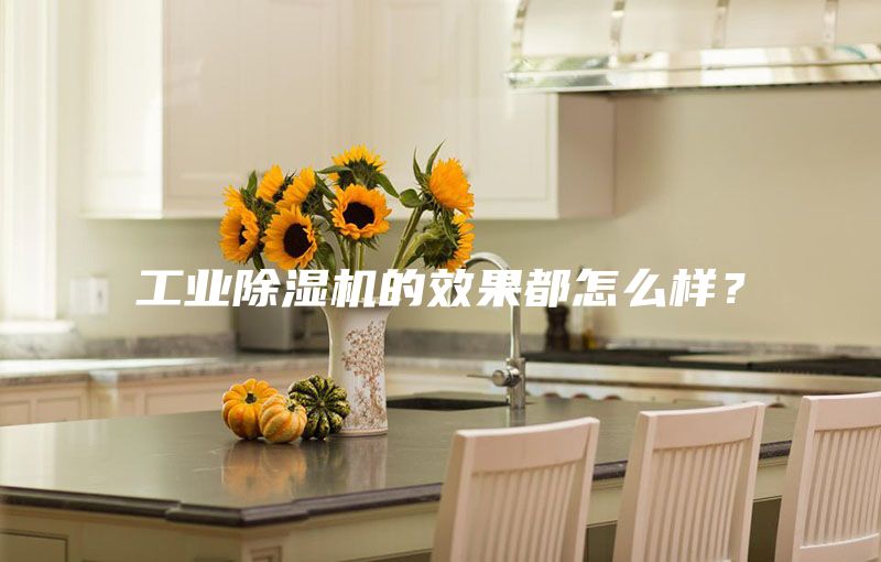 工業除濕機的效果都怎么樣?