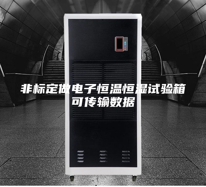 非標定做電子恒溫恒濕試驗箱可傳輸數(shù)據(jù)