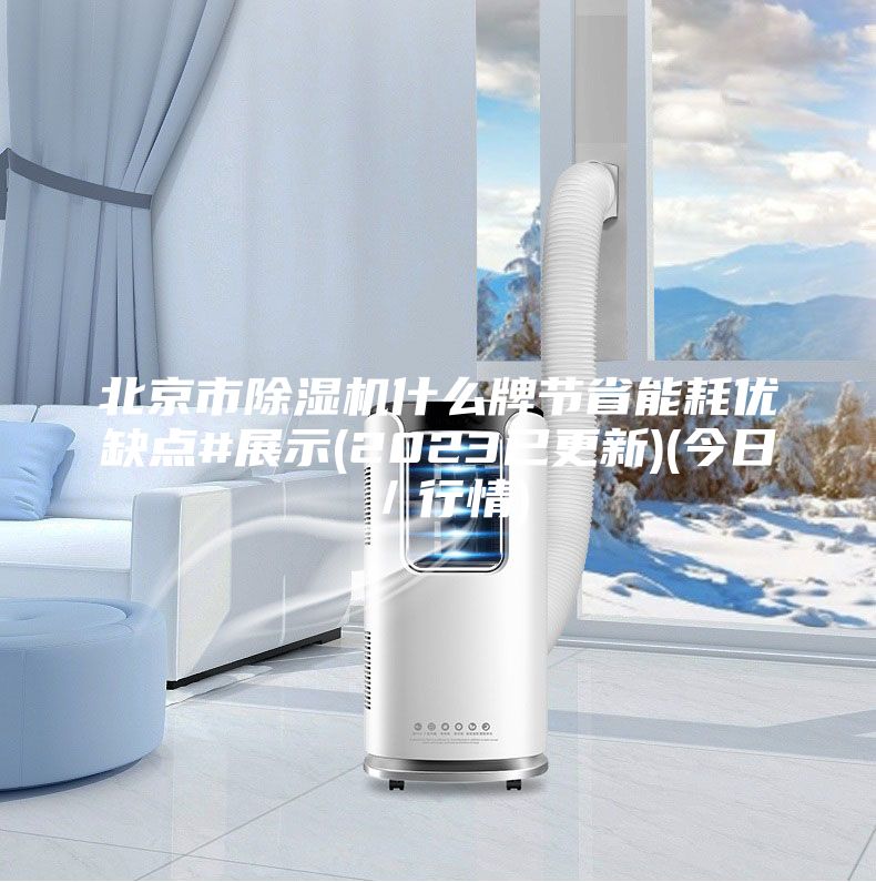北京市除濕機什么牌節(jié)省能耗優(yōu)缺點#展示(2023已更新)(今日/行情)