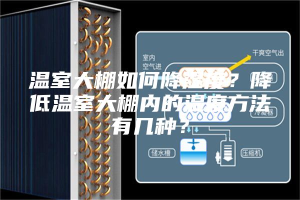 溫室大棚如何降濕度？降低溫室大棚內的濕度方法有幾種？