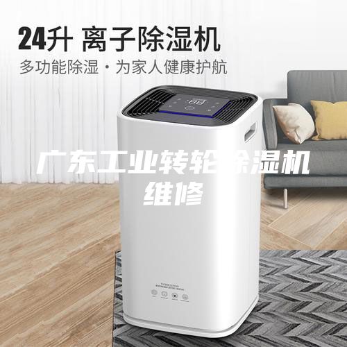 廣東工業(yè)轉(zhuǎn)輪除濕機維修