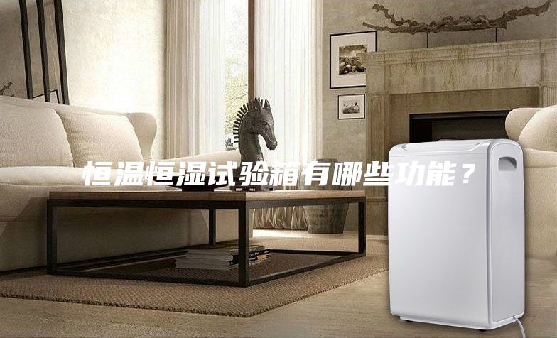 恒溫恒濕試驗(yàn)箱有哪些功能？