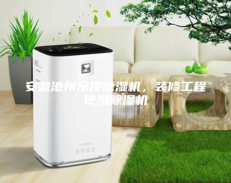 安徽池州吊頂除濕機(jī)，裝修工程使用除濕機(jī)