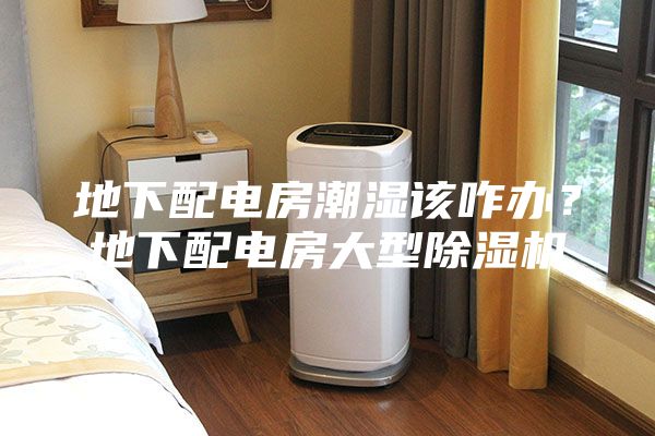 地下配電房潮濕該咋辦?地下配電房大型除濕機
