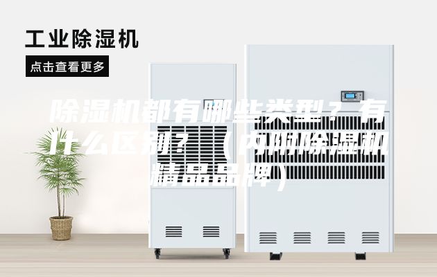 除濕機都有哪些類型?有什么區別?(內附除濕機精品品牌)