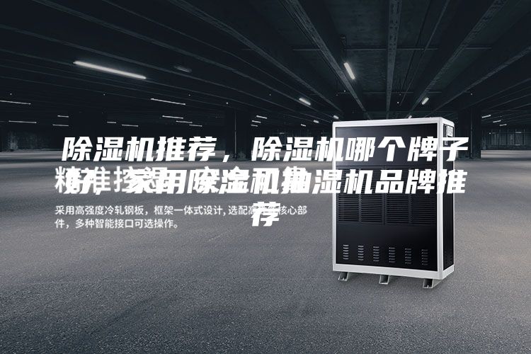 除濕機推薦，除濕機哪個牌子好, 家用除濕機抽濕機品牌推薦