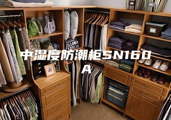 中濕度防潮柜SN160A