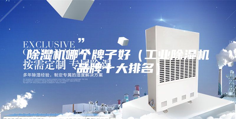 除濕機(jī)哪個牌子好(工業(yè)除濕機(jī)品牌十大排名)