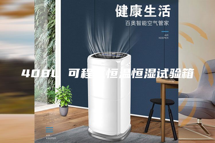 408L 可程式恒溫恒濕試驗(yàn)箱