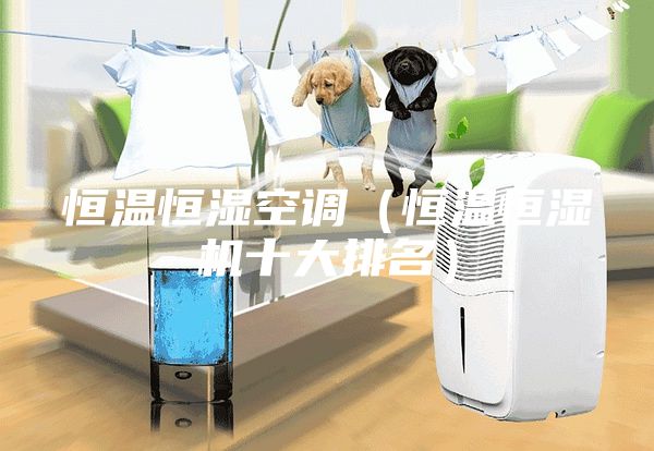 恒溫恒濕空調(恒溫恒濕機十大排名)