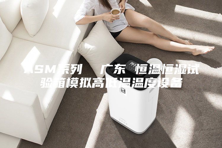 ASM系列 廣東 恒溫恒濕試驗箱模擬高低溫溫度設備