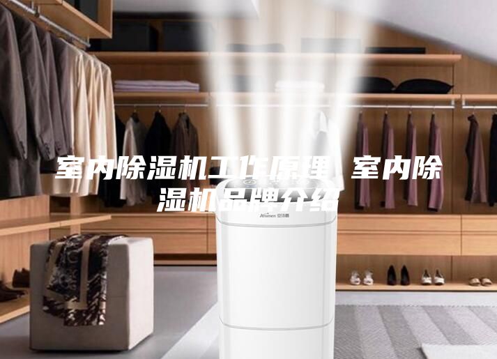 室內(nèi)除濕機工作原理 室內(nèi)除濕機品牌介紹