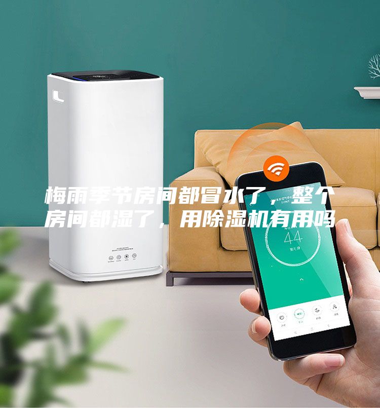 梅雨季節房間都冒水了，整個房間都濕了，用除濕機有用嗎