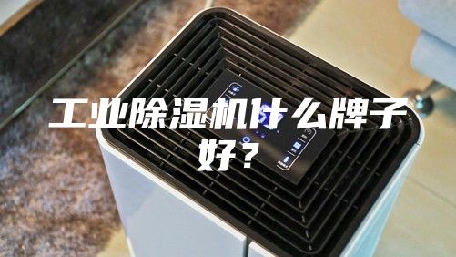 工業除濕機什么牌子好？
