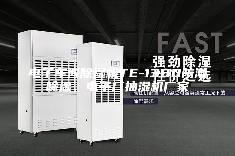 電子車間除濕機TE-138D防潮除濕，電子廠抽濕機廠家