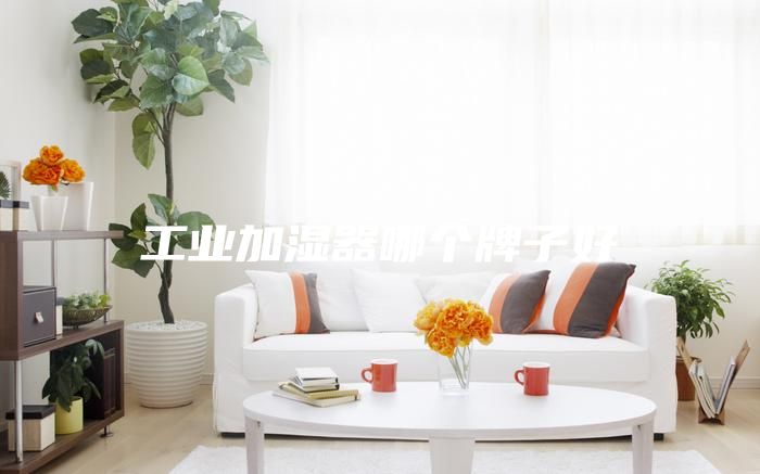 工業(yè)加濕器哪個(gè)牌子好