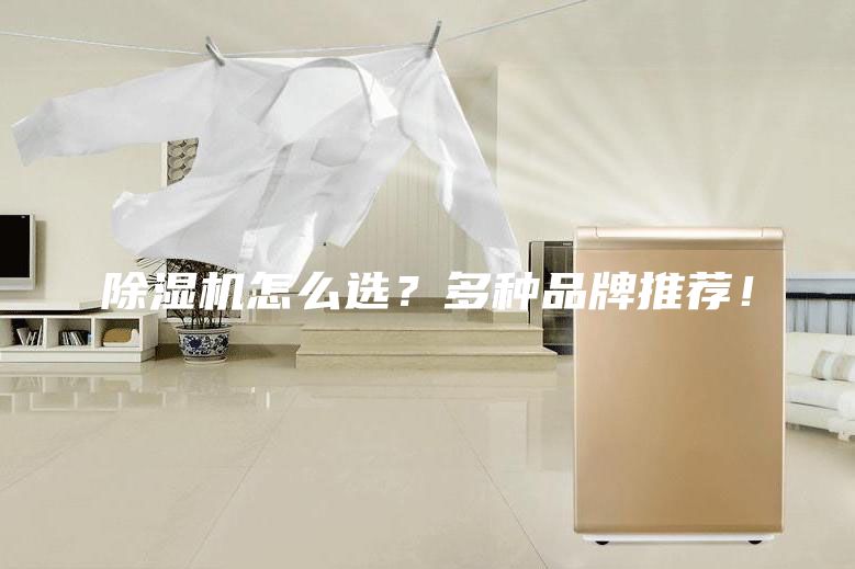 除濕機怎么選?多種品牌推薦!