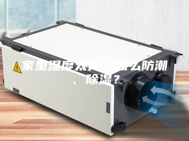 家里濕度太大，怎么防潮、除濕？