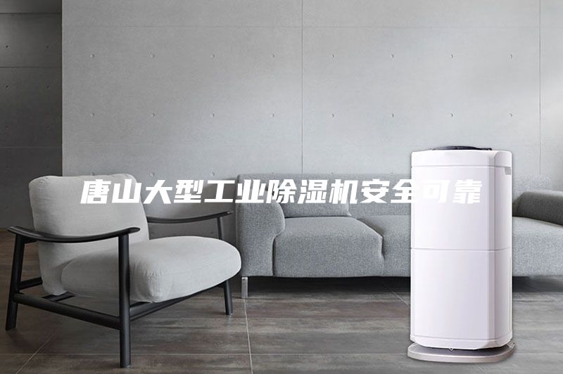 唐山大型工業(yè)除濕機(jī)安全可靠