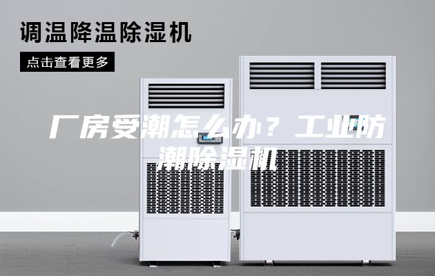 廠房受潮怎么辦？工業防潮除濕機