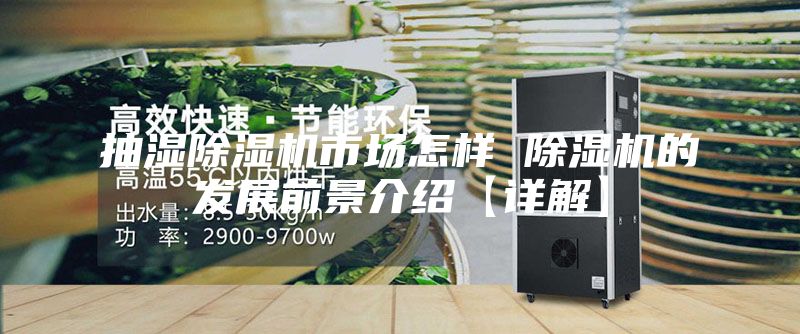 抽濕除濕機市場怎樣 除濕機的發展前景介紹【詳解】
