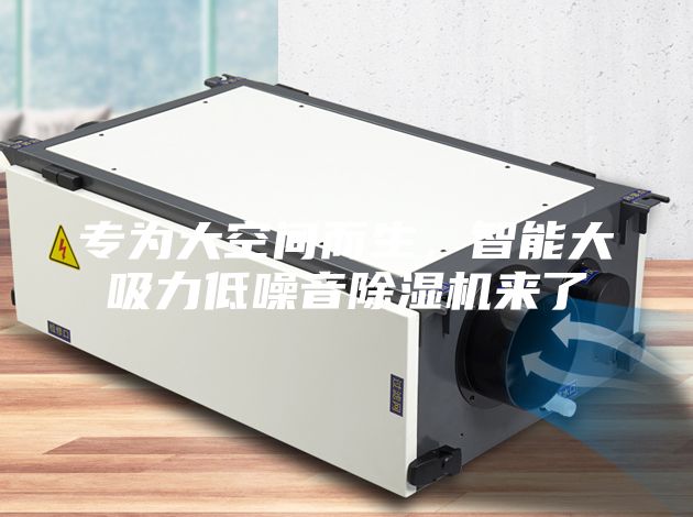 專為大空間而生，智能大吸力低噪音除濕機來了