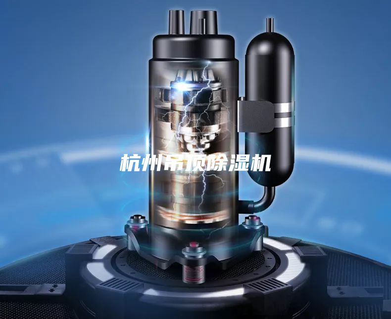 杭州吊頂除濕機(jī)